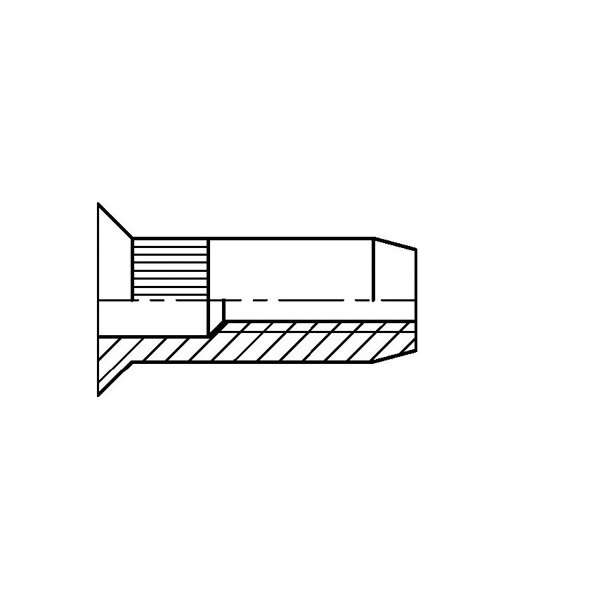 Qualfast M5 STEEL REDUCED HEADKNURLEDRIVET NUT (BX-500) termék fő termékképe